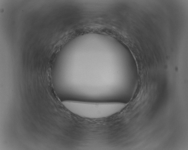X0000062871397200601130959