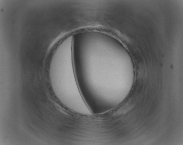 X0000062871400200601130959