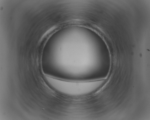 X0000062871402200601130959