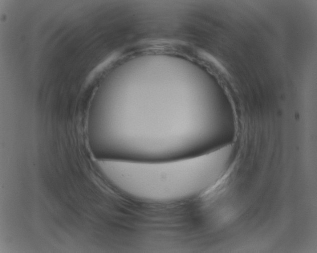X0000062871403200601130959