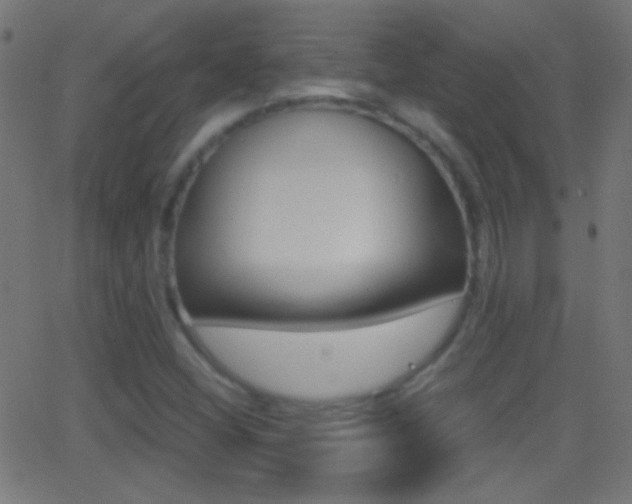 X0000062871404200601130959