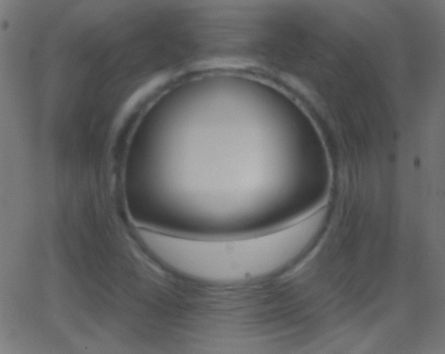 X0000062871406200601130959