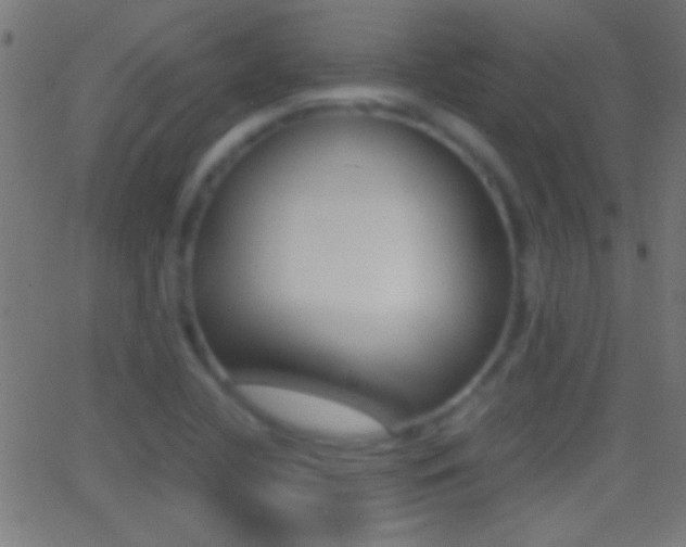 X0000062871412200601130959