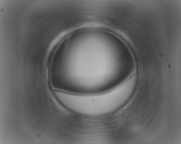X0000062871414200601130959