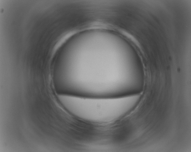 X0000062871415200601130959