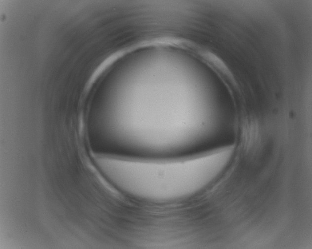 X0000062871420200601130959