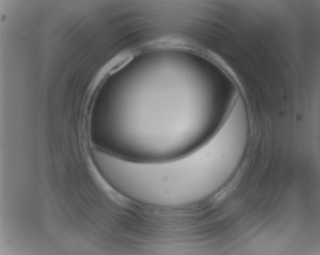 X0000062871434200601130959