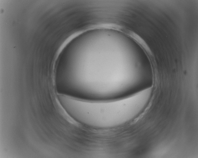X0000062871436200601130959