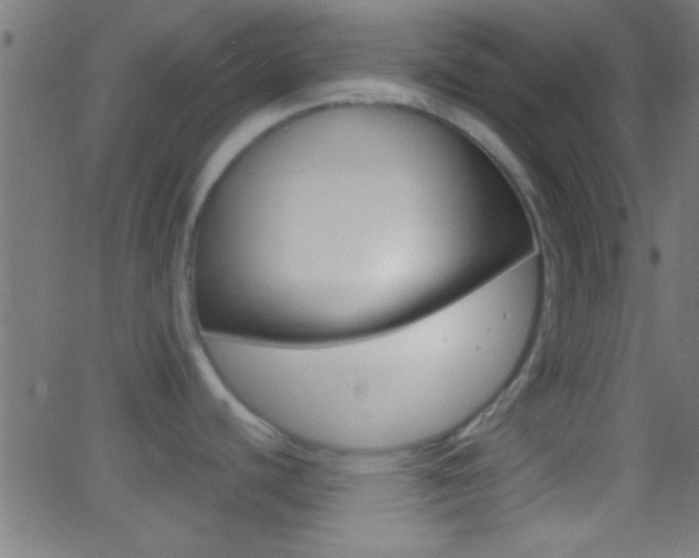 X0000062871440200601130959