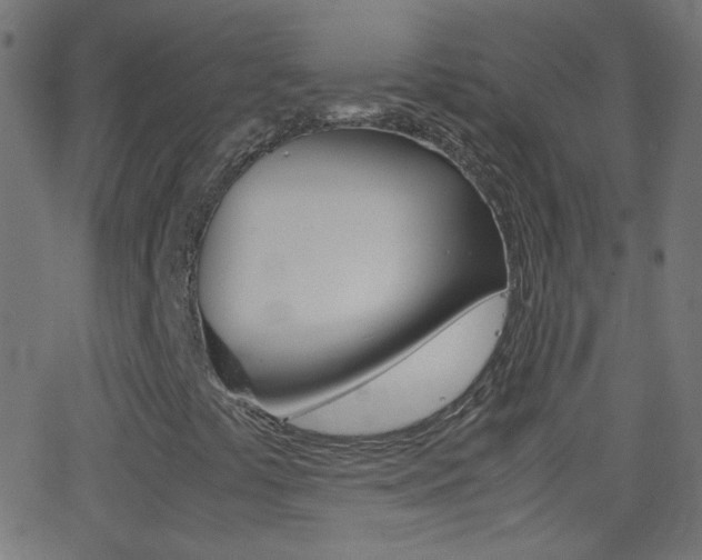 X0000062871441200601130958