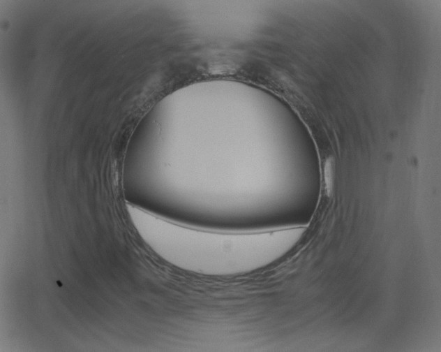 X0000062871443200601130958