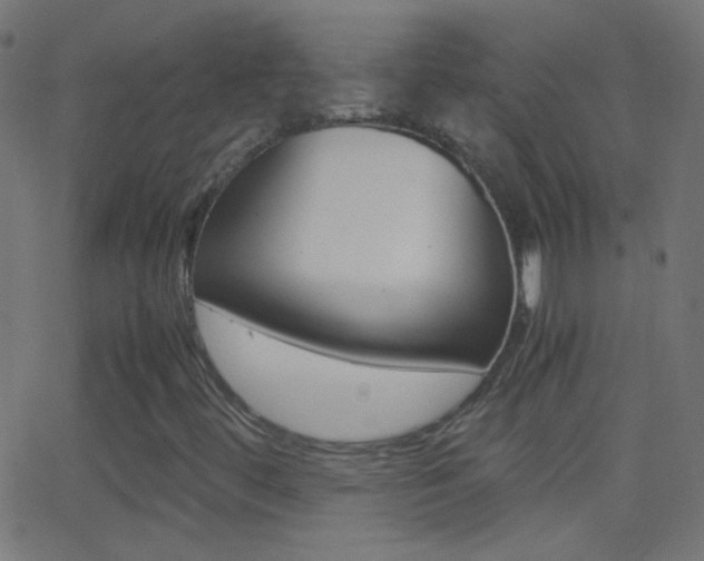 X0000062871444200601130958