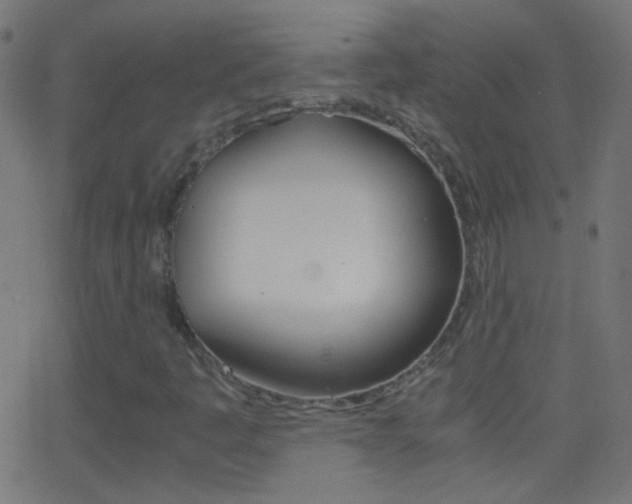 X0000062871445200601130958