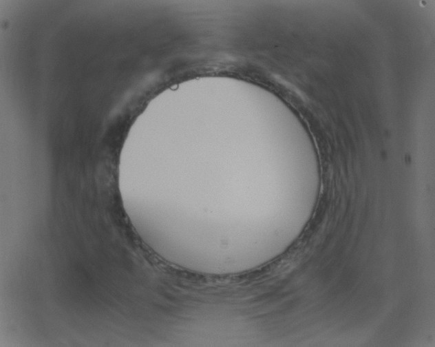X0000062871447200601130958