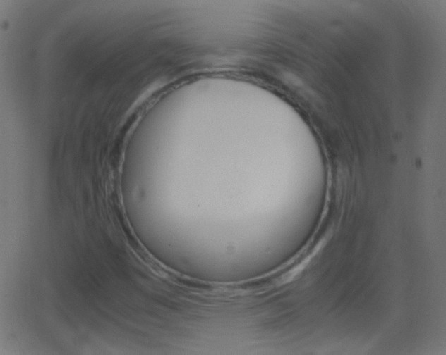 X0000062871449200601130958