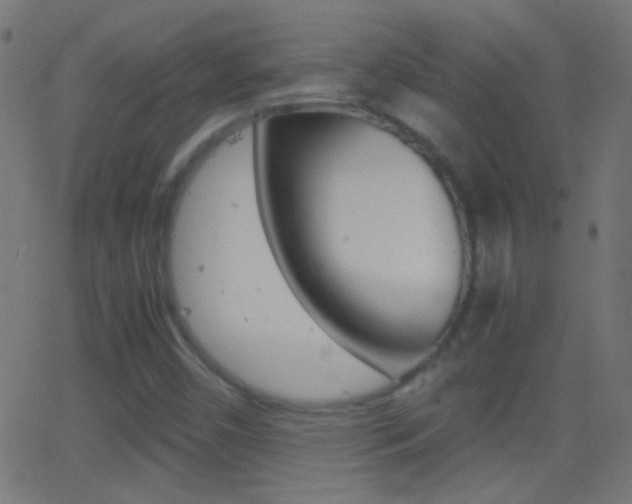 X0000062871450200601130958