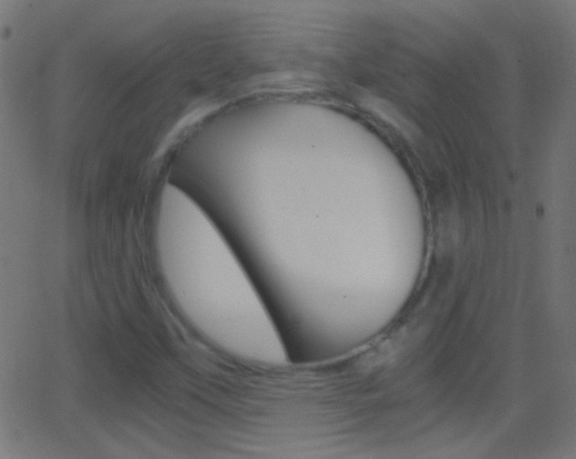 X0000062871451200601130958