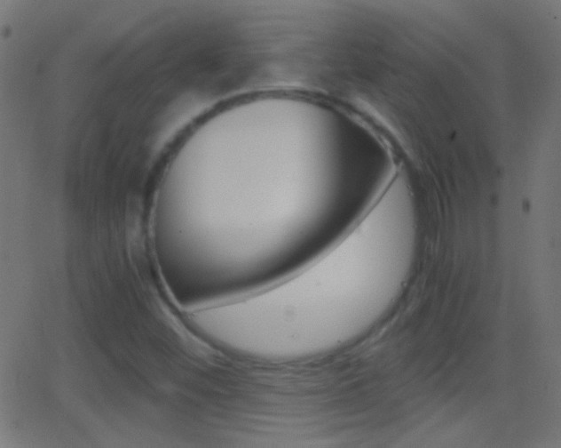 X0000062871452200601130958