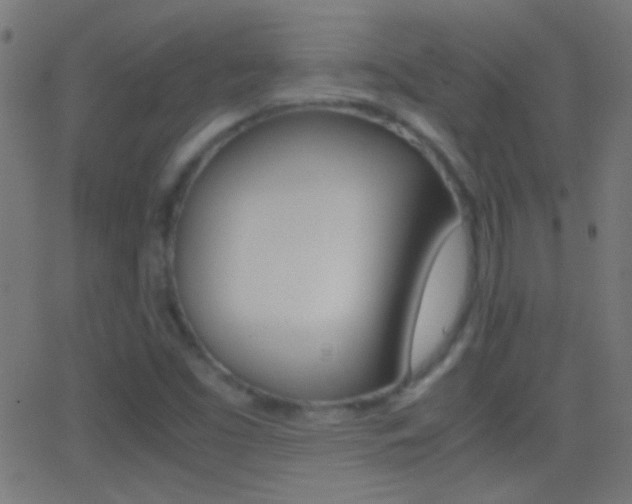 X0000062871453200601130958