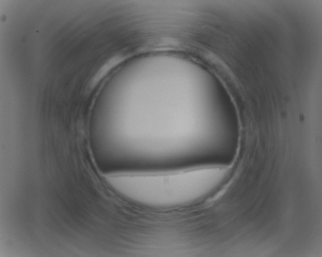 X0000062871457200601130958