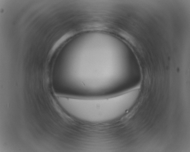 X0000062871458200601130958