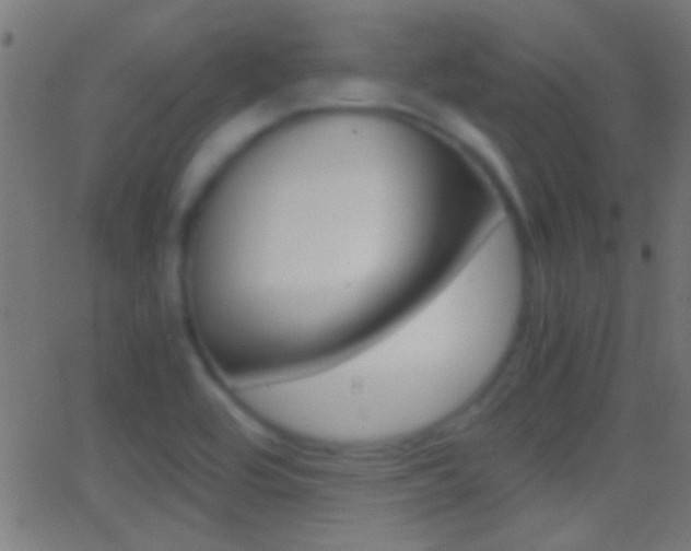 X0000062871464200601130958