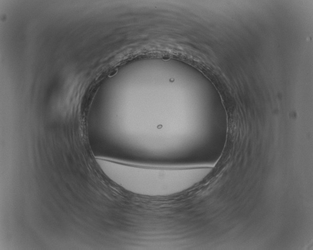 X0000062871490200601130957