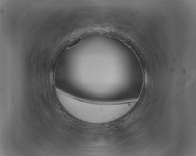 X0000062871492200601130957
