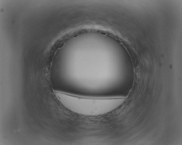 X0000062871495200601130957