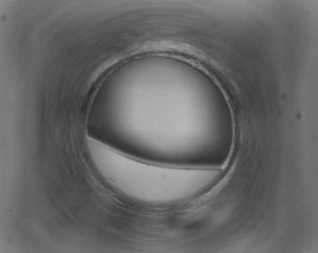 X0000062871497200601130957