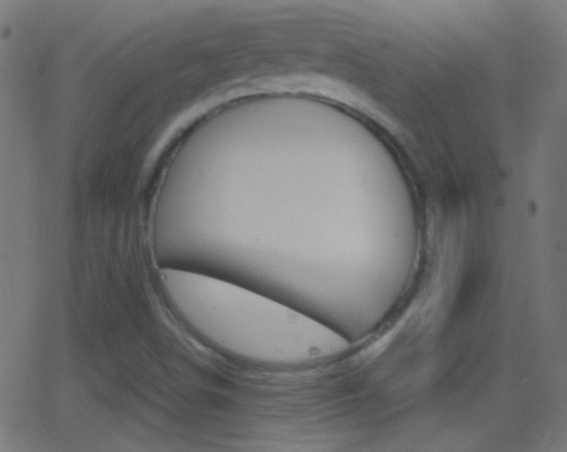 X0000062871498200601130957