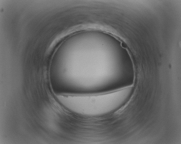 X0000062871499200601130957