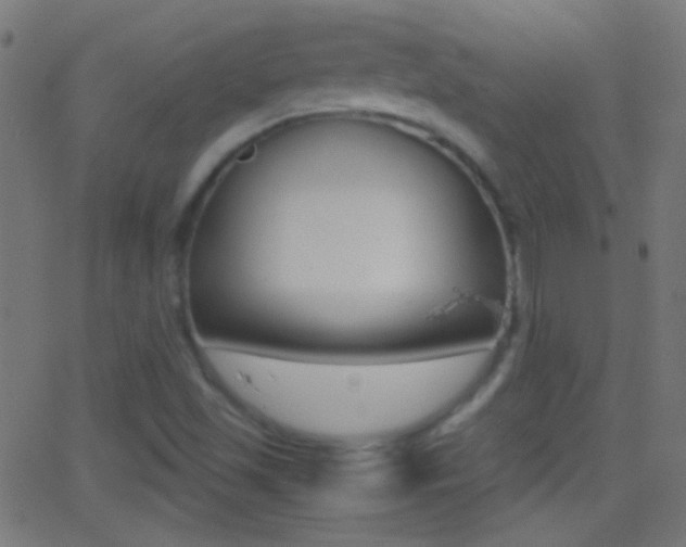 X0000062871501200601130957