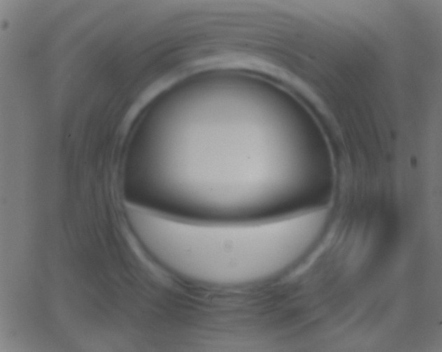 X0000062871513200601130957