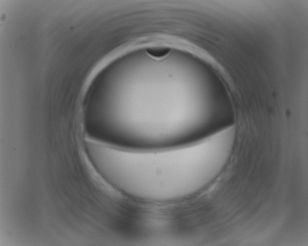 X0000062871522200601130957