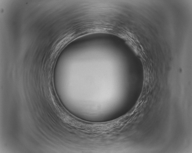 X0000062870001200601131453