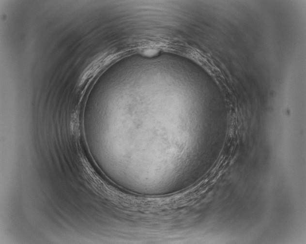 X0000062870002200601131453