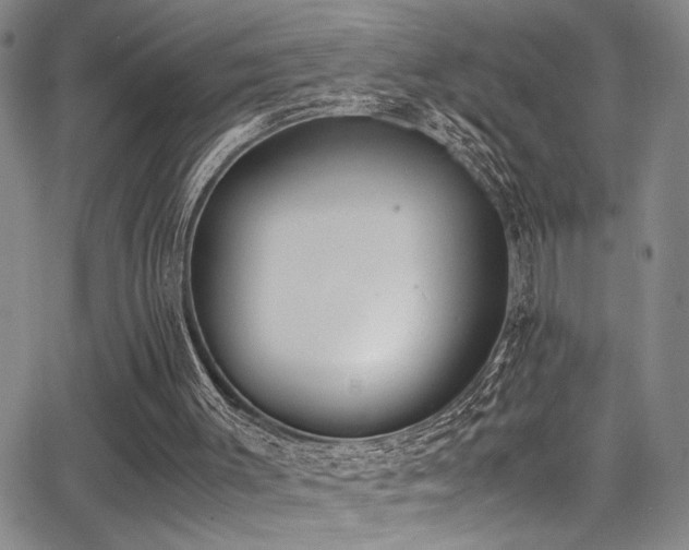 X0000062870003200601131453