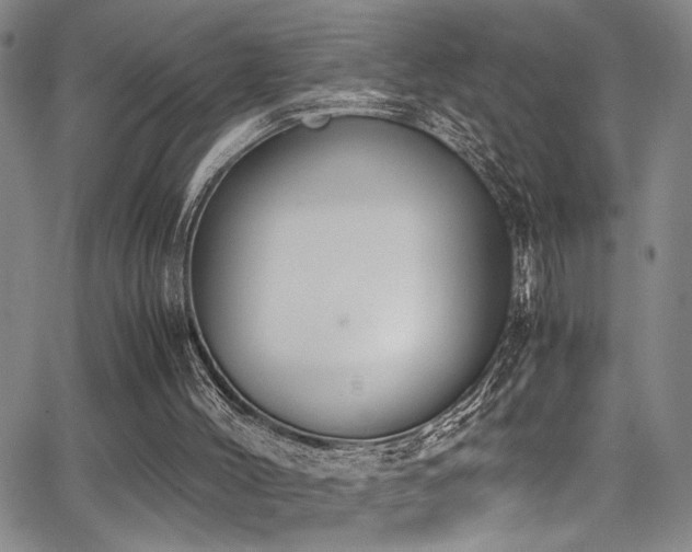 X0000062870004200601131453