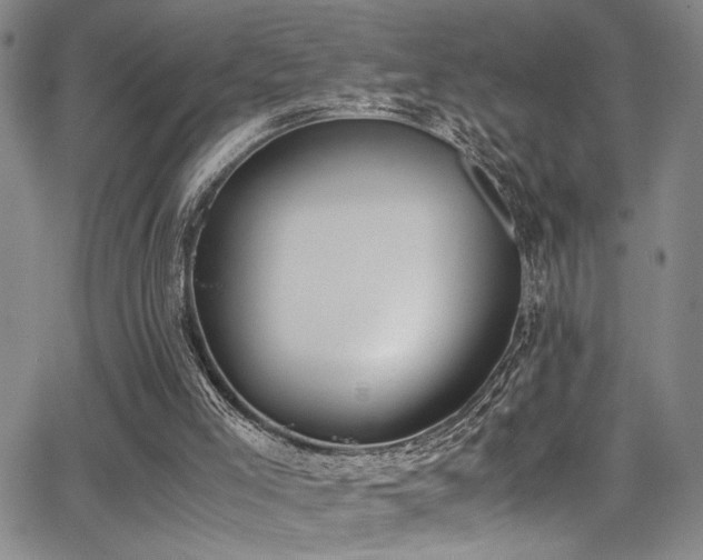 X0000062870005200601131453