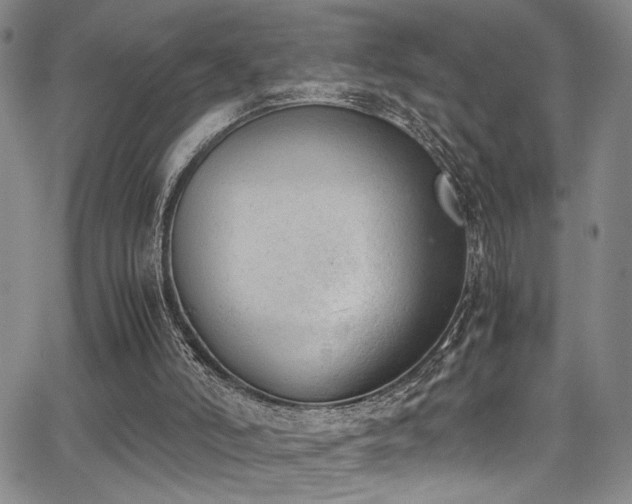 X0000062870006200601131453