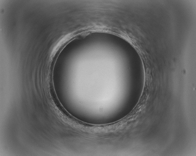 X0000062870007200601131453