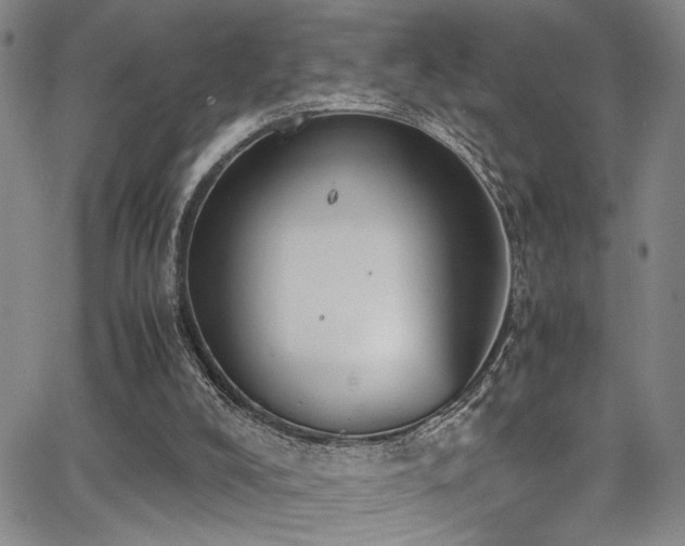 X0000062870008200601131453