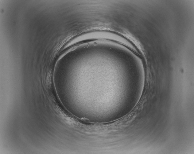 X0000062870009200601131453