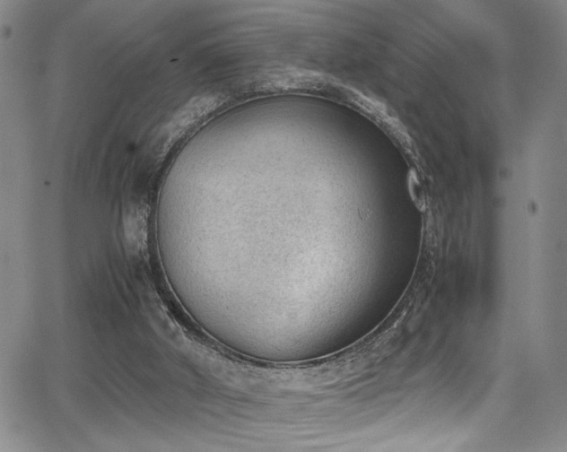 X0000062870010200601131453