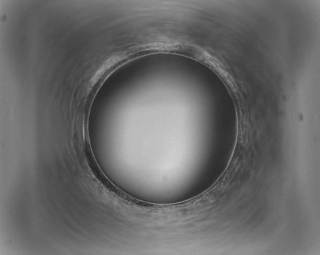 X0000062870011200601131453