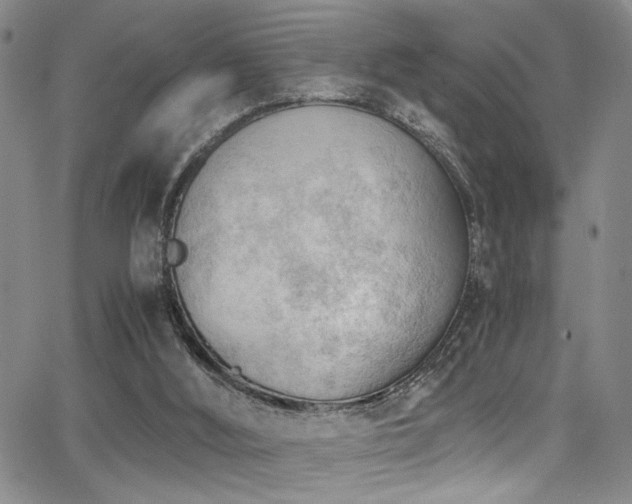 X0000062870012200601131453