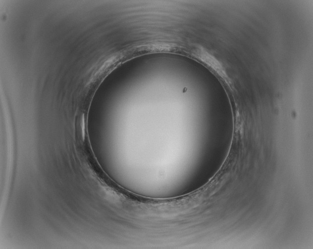 X0000062870013200601131453