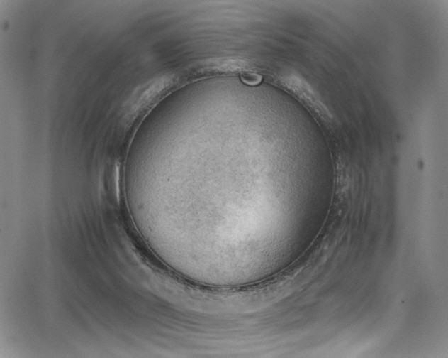 X0000062870014200601131453