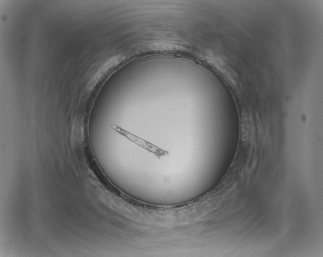 X0000062870015200601131453